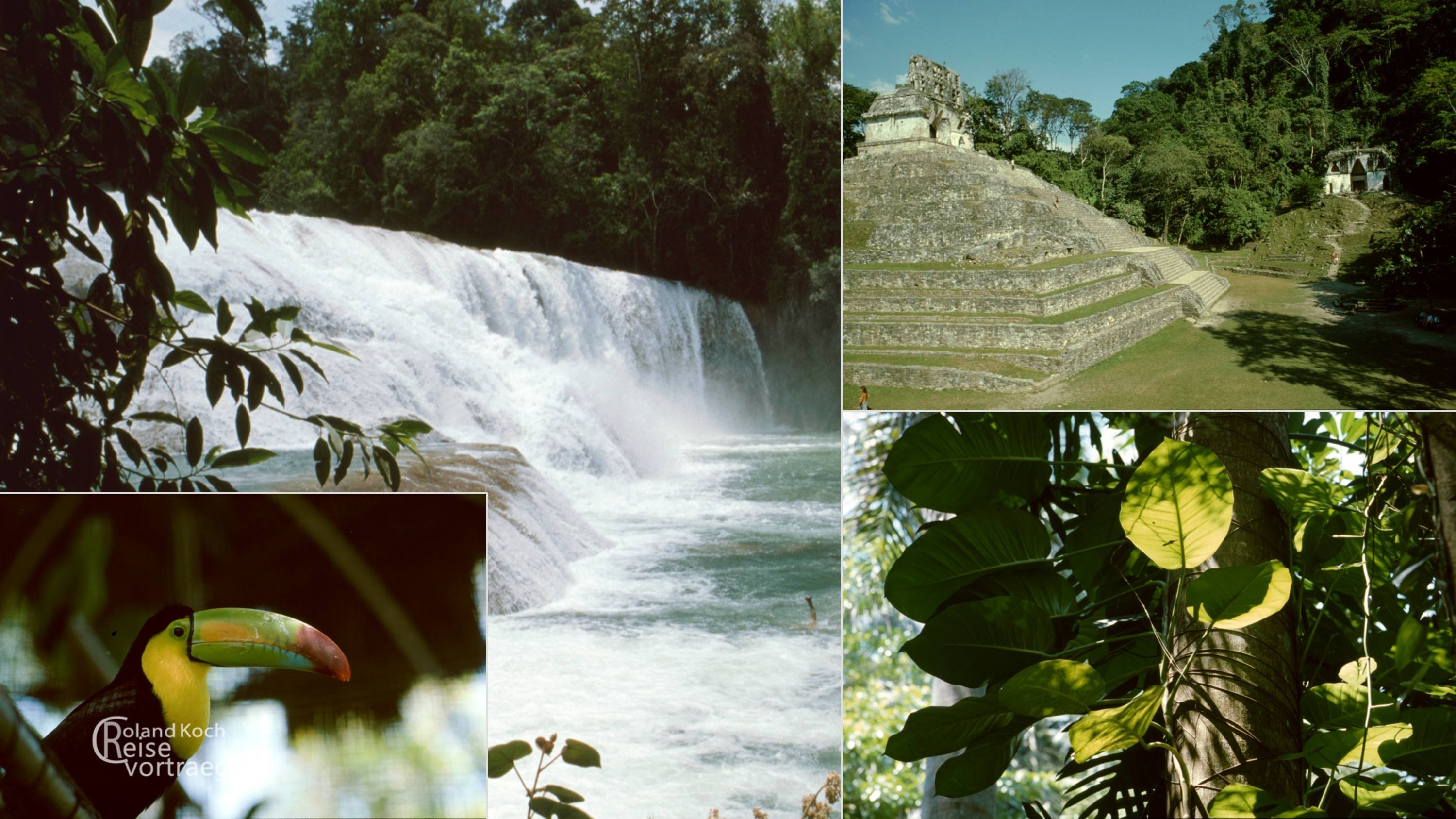 Mexiko, Palenque, Agua Azul, Majatempel, Pyramide, Desktopbild, Wallpaper, Hintergrundbild